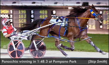 Panocchio Sets Pompano Record