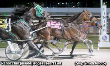 Panocchio Prevails By A Nose