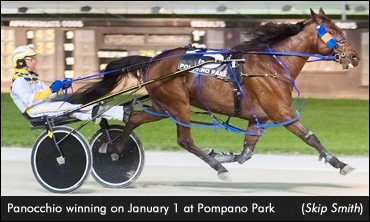 Panocchio Triumphs In Pompano Open