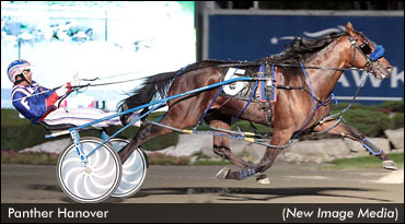 Simcoe & Champlain Stakes Continue