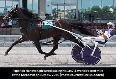Papi Rob Hanover To Stud In 2021