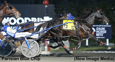 Popular Score For Parisian Blue Chip