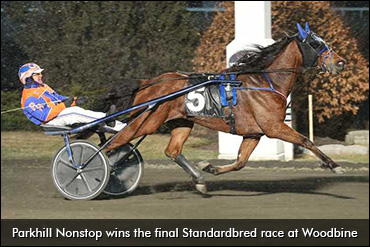 Parkhill Nonstop Wins Woodbine Finale
