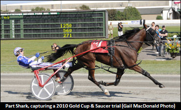 Solid Stock To Gold Cup & Saucer Trials