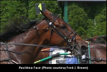 Takter Discusses Pasithea Face