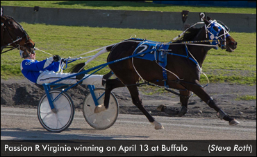 Passion R Virginie Takes Mares Open