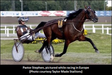 Pastor Stephen Back In North America