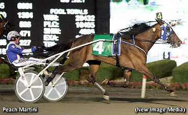 Peach Martini Grabs Mohawk Gold 