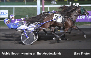 Competitive Colts Vie For The 'Crown'