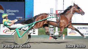 Arledge On Pedigree Snob 