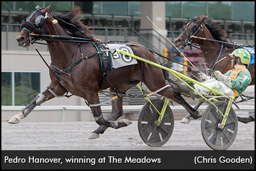 Pedro Hanover Back In Action