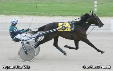 Record Mile For Pegasus Blue Chip 