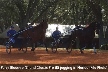 Percy Bluechip, Classic Pro Return