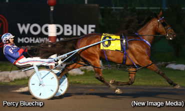 Sophomores Star In SBOA Finals