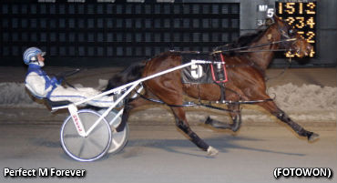 Perfect M Forever Doubles Up At Dover