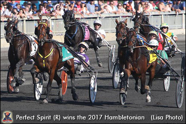 Perfect Spirit Wins 2017 Hambletonian