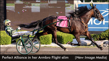 Perfect Alliance Sets Mohawk Record