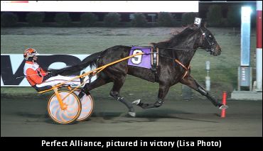 Perfect Alliance Retired