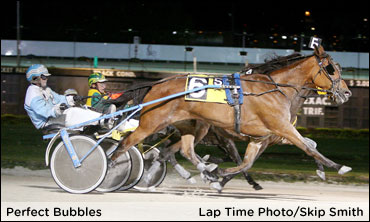 Privately Sold Trotters Come Out & Win