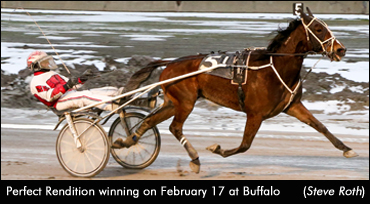 Perfect Rendition Unbeaten At Buffalo