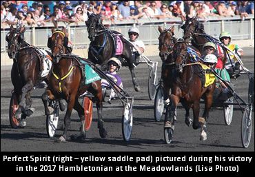 Hambletonian Winner To Sweden