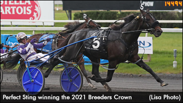 Perfect Sting To Stand Stud In 2022