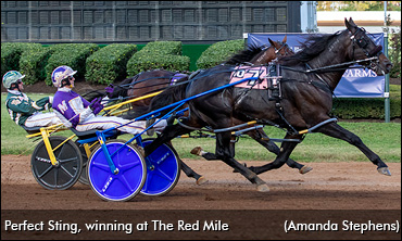 Stars Sharpen In Friday Qualifiers