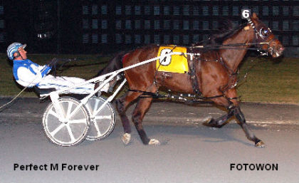 Eight Straight For Perfect M Forever