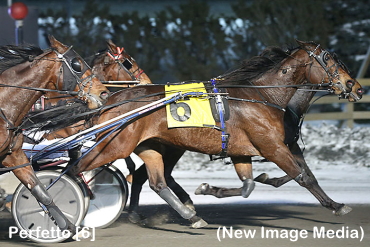 Perfetto Prevails; Roy Tops $25 Million