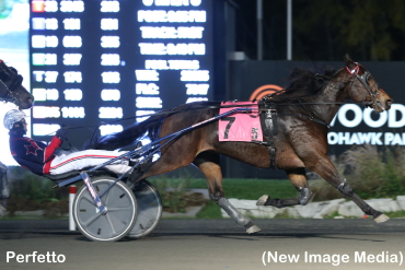 Popular Perfetto Scores In Preferred 