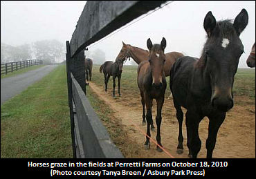 Perrettis Comment On Complete Dispersal