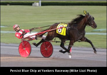 Brennan Discusses Persist Blue Chip