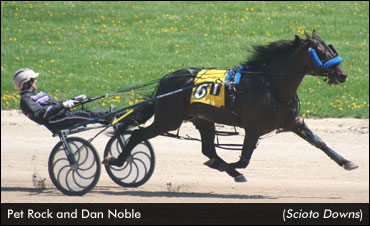 Pet Rock Returns In Scioto Qualifiers