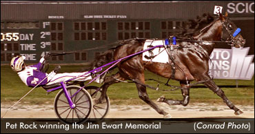 Pet Rock Sets World Record