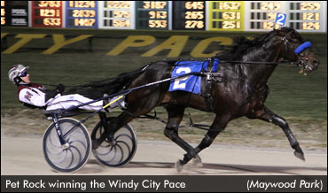 Pet Rock Romps In Windy City; Market Share Surpasses $2 Million