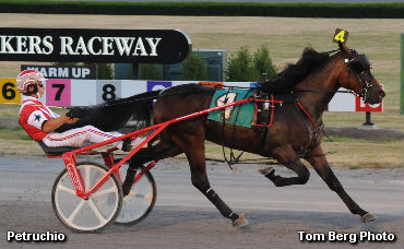 Rookie Trotting Colts Roll Into Yonkers
