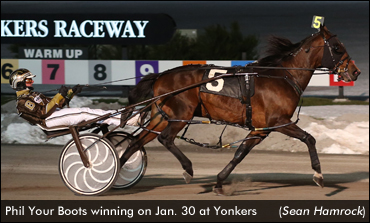 Ontario-Sired Winners In Yonkers Opens