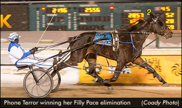 Phone Terror Favoured In Filly Pace