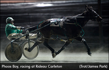 The Will To Live. And To Win.