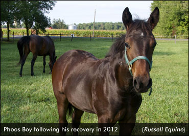 Phoos Boy Ready For Racing Debut