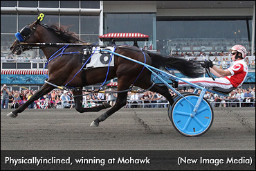 Physicallyinclined To Stud