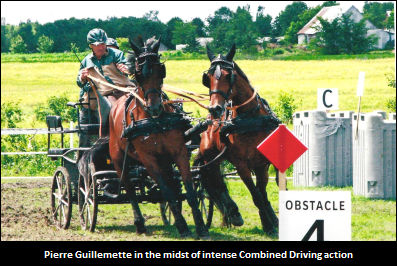 Guillemette Drives On