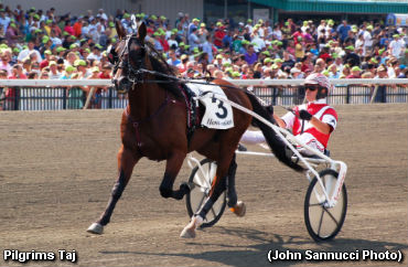 Can Pilgrims Taj Regain Crown Magic?