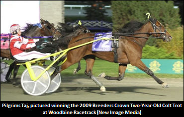 Pilgrims Taj On The Move