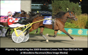 Pilgrims Taj To Sugar Valley Farm