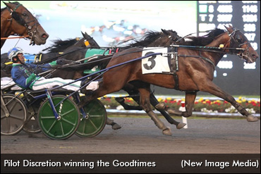 Navigating A Trip To The Hambo