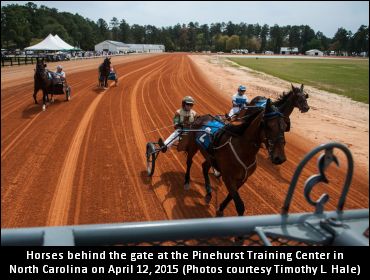 Picturesque Pinehurst, In Photos