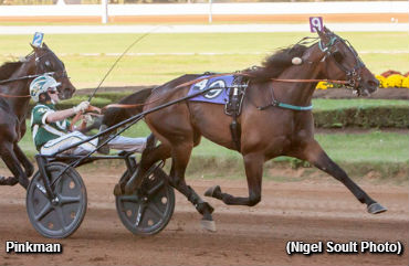 Takter Sweeps Futurity Stakes Again