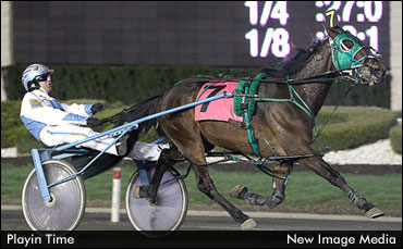 Gelding Playing For Grassroots Glory