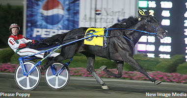 Mohawk Qualifier Recap